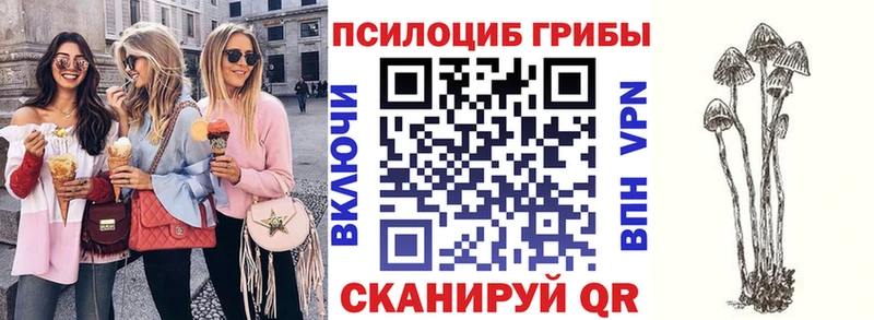 hydra онион  Облучье  Псилоцибиновые грибы мицелий  наркошоп 